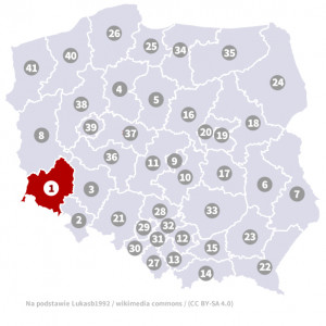 Okręg nr 1 (Legnica) – wybory parlamentarne 2019 – głosowanie do sejmu