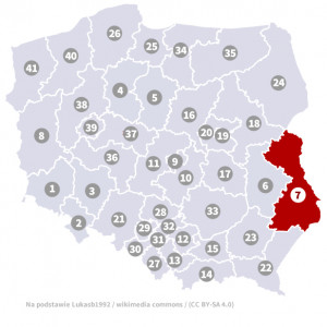 Okręg nr 7 (Chełm) – wybory parlamentarne 2019 – głosowanie do sejmu