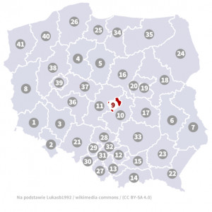 Okręg nr 9 (Łódź) – wybory parlamentarne 2019 – głosowanie do sejmu