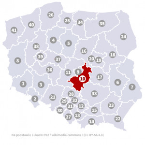 Okręg nr 10 (Piotrków Trybunalski) – wybory parlamentarne 2019 – głosowanie do sejmu