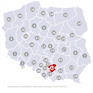 Okręg nr 12 (Kraków) – wybory parlamentarne 2019 – głosowanie do sejmu