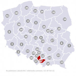 Okręg nr 13 (Kraków) – wybory parlamentarne 2019 – głosowanie do sejmu