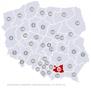Okręg nr 15 (Tarnów) – wybory parlamentarne 2019 – głosowanie do sejmu