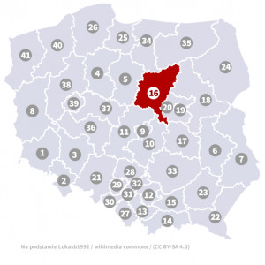 Okręg nr 16 (Płock) – wybory parlamentarne 2019 – głosowanie do sejmu