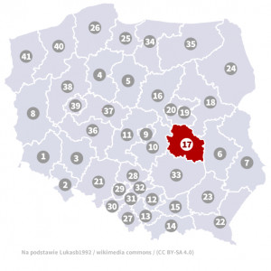 Okręg nr 17 (Radom) – wybory parlamentarne 2019 – głosowanie do sejmu