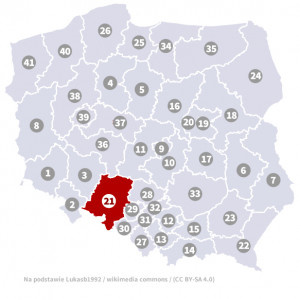 Okręg nr 21 (Opole) – wybory parlamentarne 2019 – głosowanie do sejmu