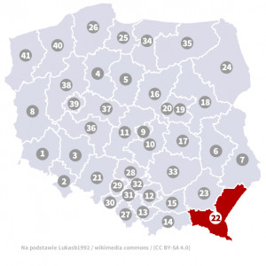 Okręg nr 22 (Krosno) – wybory parlamentarne 2019 – głosowanie do sejmu