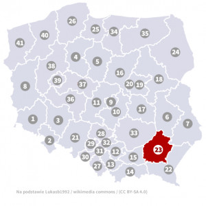 Okręg nr 23 (Rzeszów) – wybory parlamentarne 2019 – głosowanie do sejmu