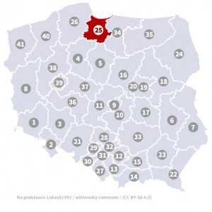Okręg nr 25 (Gdańsk) – wybory parlamentarne 2019 – głosowanie do sejmu