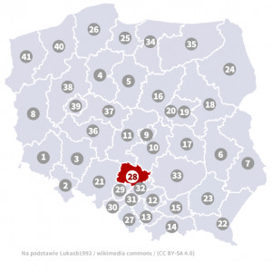 Okręg nr 28 (Częstochowa) – wybory parlamentarne 2019 – głosowanie do sejmu