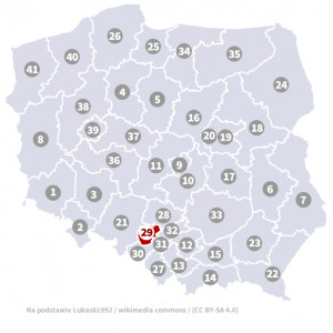 Okręg nr 29 (Katowice) – wybory parlamentarne 2019 – głosowanie do sejmu