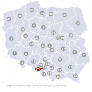 Okręg nr 30 (Bielsko-Biała) – wybory parlamentarne 2019 – głosowanie do sejmu