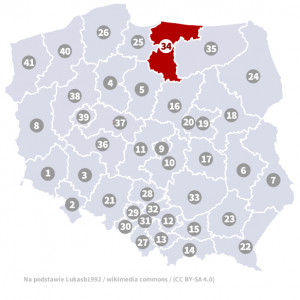 Okręg nr 34 (Elbląg) – wybory parlamentarne 2019 – głosowanie do sejmu