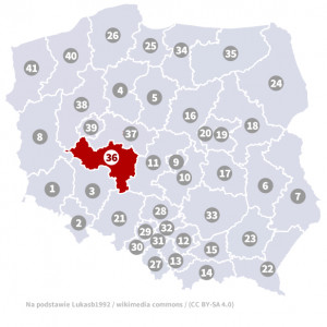 Okręg nr 36 (Kalisz) – wybory parlamentarne 2019 – głosowanie do sejmu