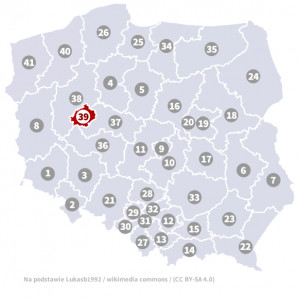 Okręg nr 39 (Poznań) – wybory parlamentarne 2019 – głosowanie do sejmu