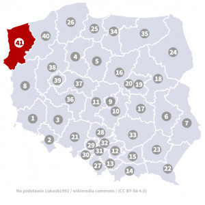 Okręg nr 41 (Szczecin) – wybory parlamentarne 2019 – głosowanie do sejmu