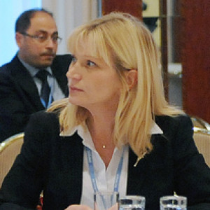  Elina Bardram