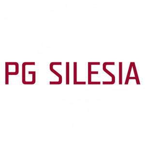 Marek Celmer - PG Silesia - prezes zarządu