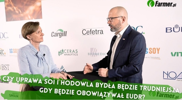 Czy uprawa soi i hodowla bydła będzie trudniejsza, gdy będzie obowiązywał EUDR?
