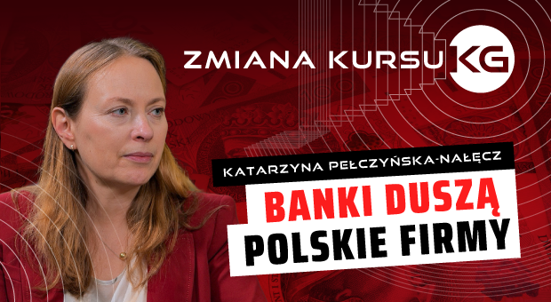 Pełczyńska-Nałęcz: Potrzebne wsparcie dla rodzimych firm. Polska gospodarka jest niedoinwestowana