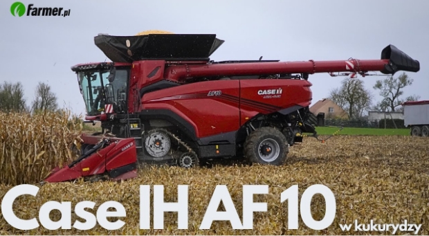 Największy kombajn Case IH w kukurydzy. Jak poradził sobie w ciężkich warunkach?
