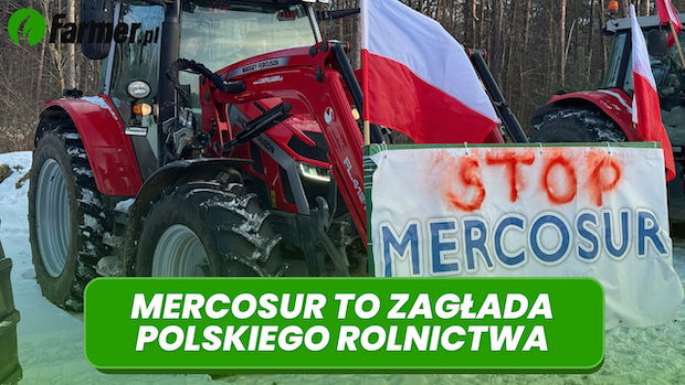 MERCOSUR TO ZAGŁADA POLSKIEGO ROLNICTWA