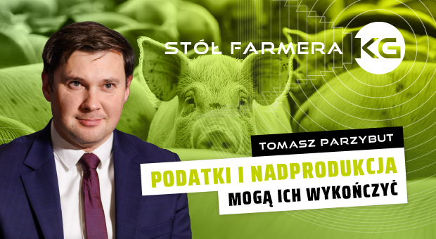 Czy będziemy jeszcze jeść polskie mięso? Kryzys w branży wieprzowiny
