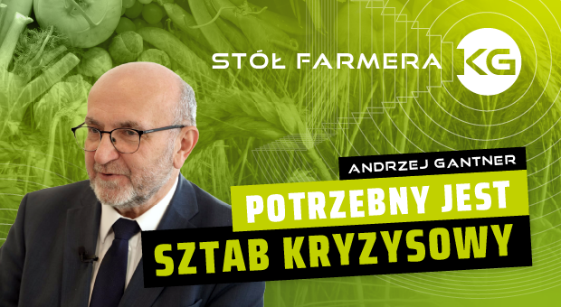 Kryzys gospodarczy nadchodzi? Unijne i polskie przepisy utrudniają produkcję