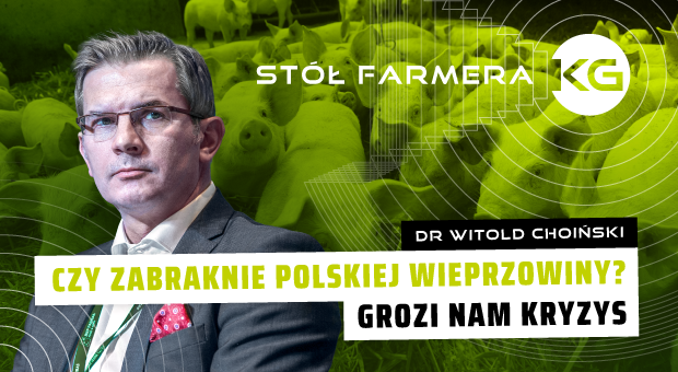 Alarm dla polskiej wieprzowiny. "To ostatni moment"