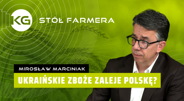 Ukraińskie zboże zachwieje polskim rynkiem?