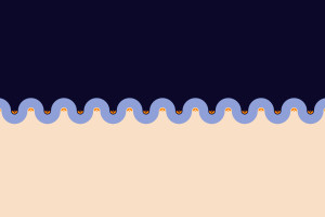 Forum Zdrowia Kobiet 2026